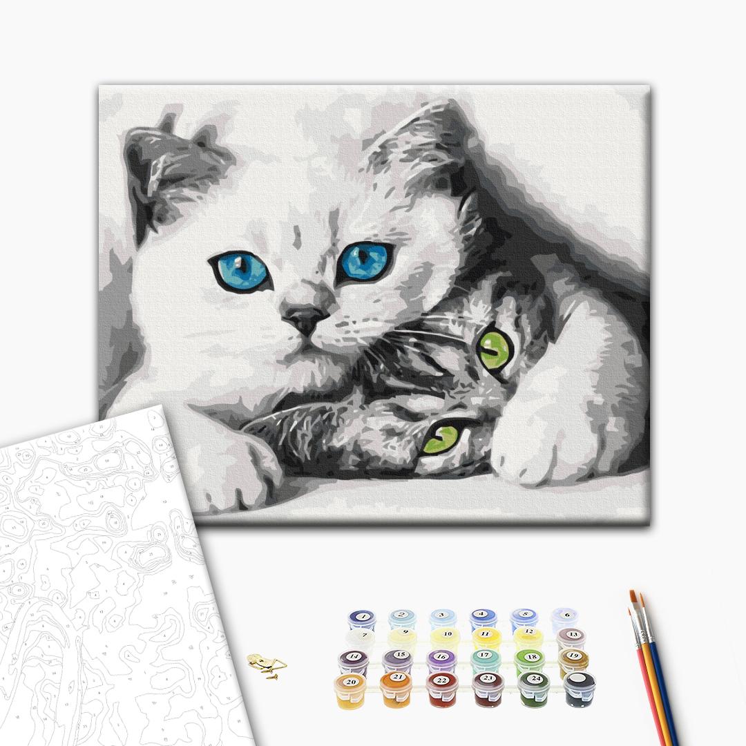 Paint by numbers