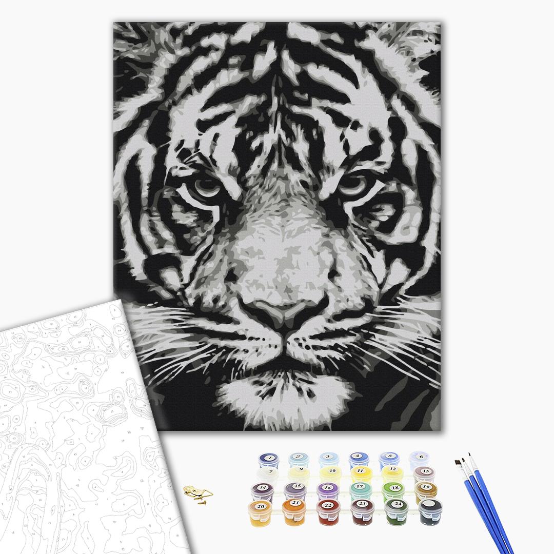 Paint by numbers