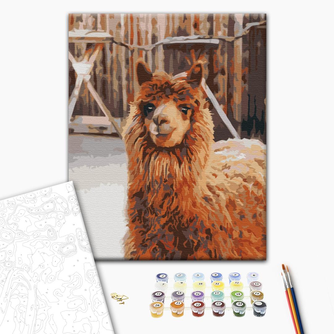 Paint by numbers