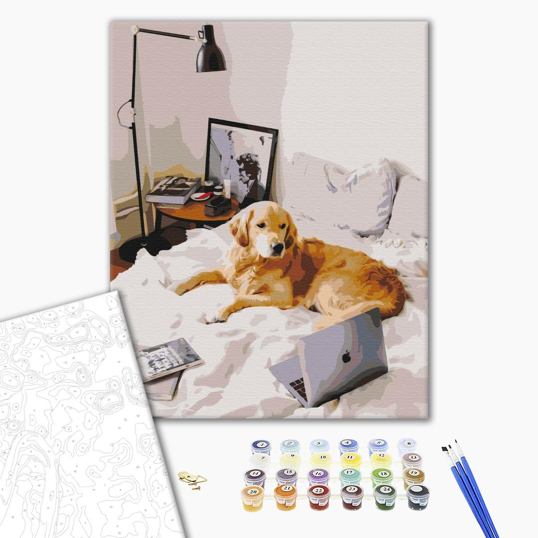 Paint by numbers