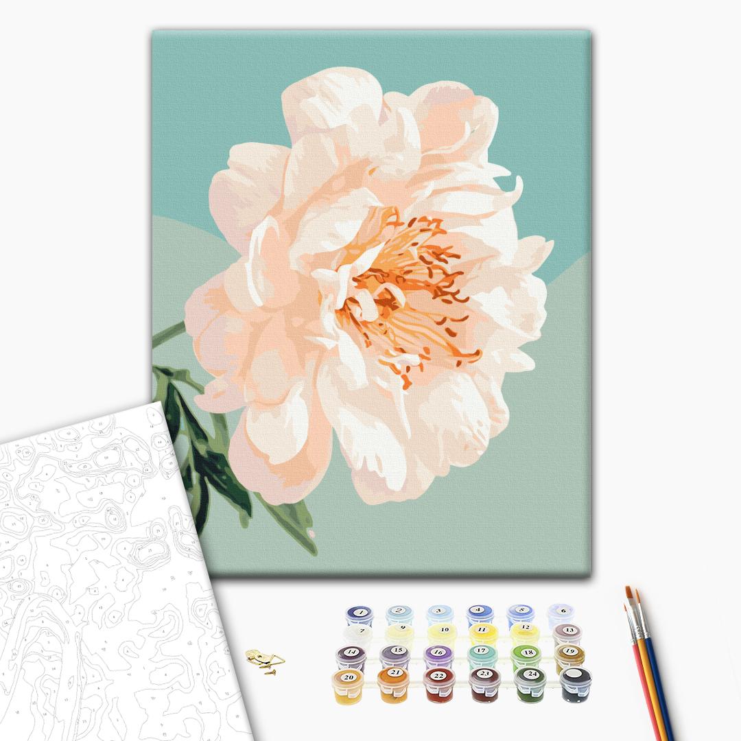 Paint by numbers