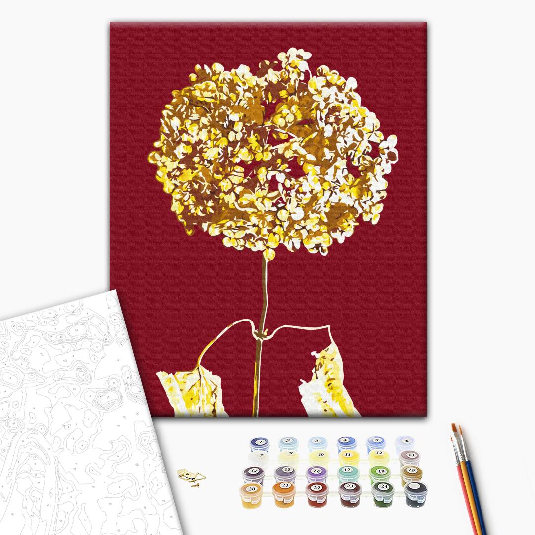Paint by numbers