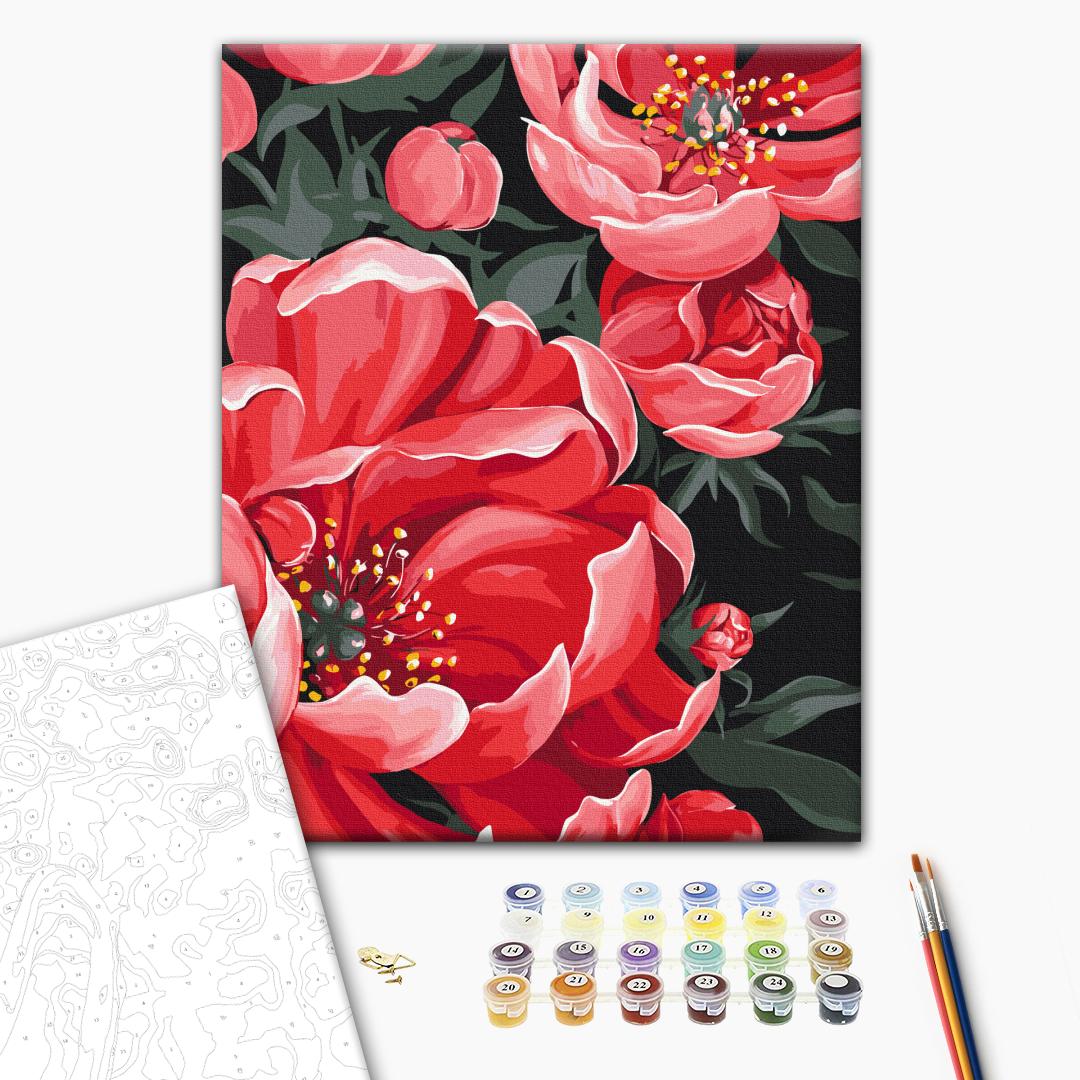 Paint by numbers