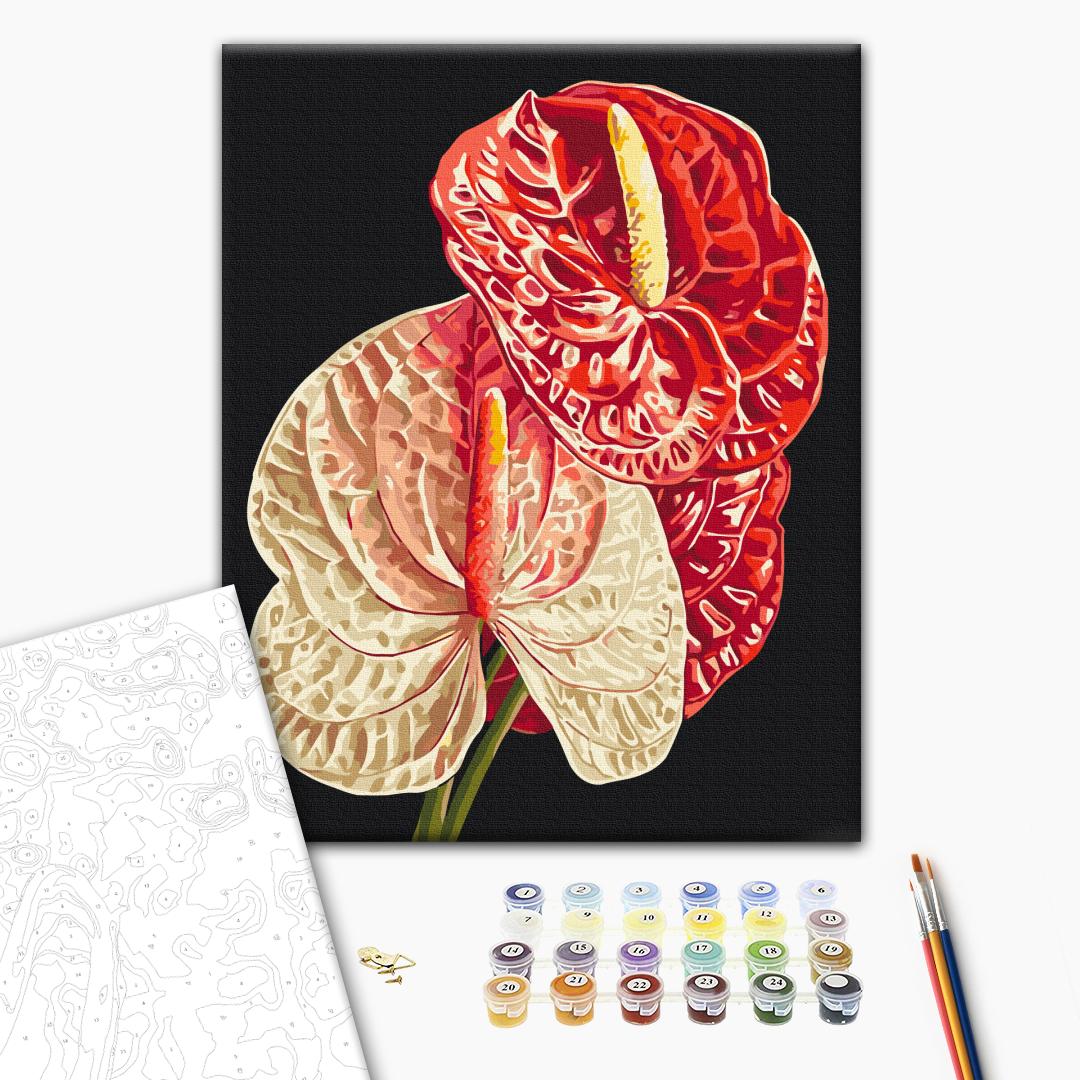 Paint by numbers