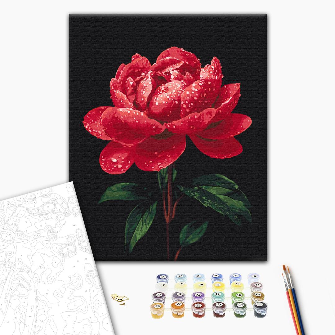 Paint by numbers