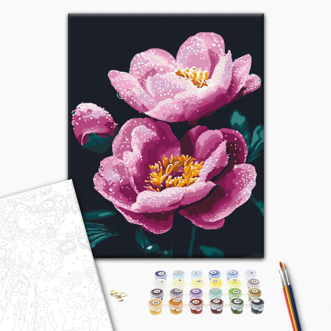 Paint by numbers