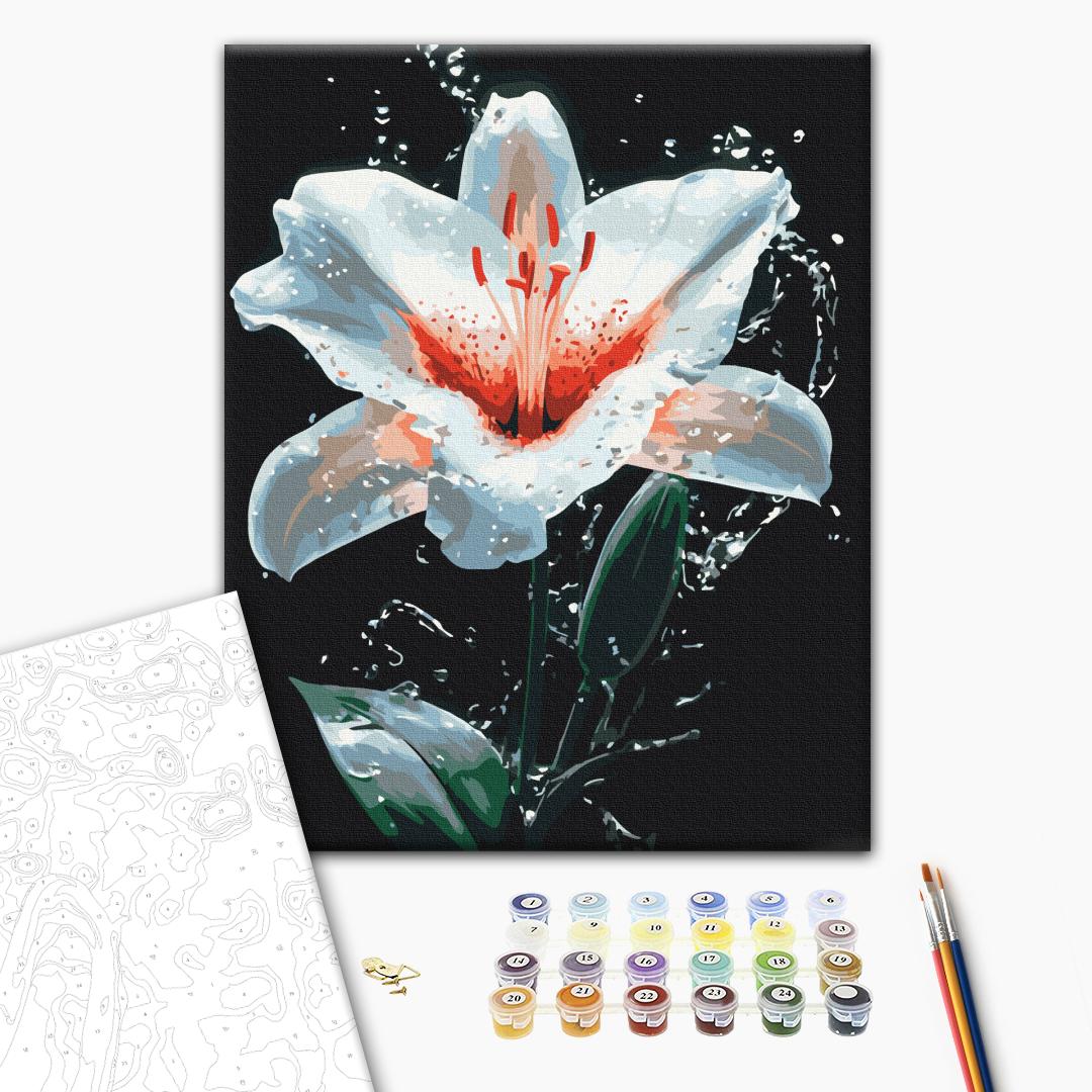 Paint by numbers