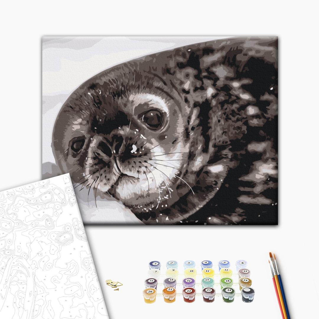 Paint by numbers