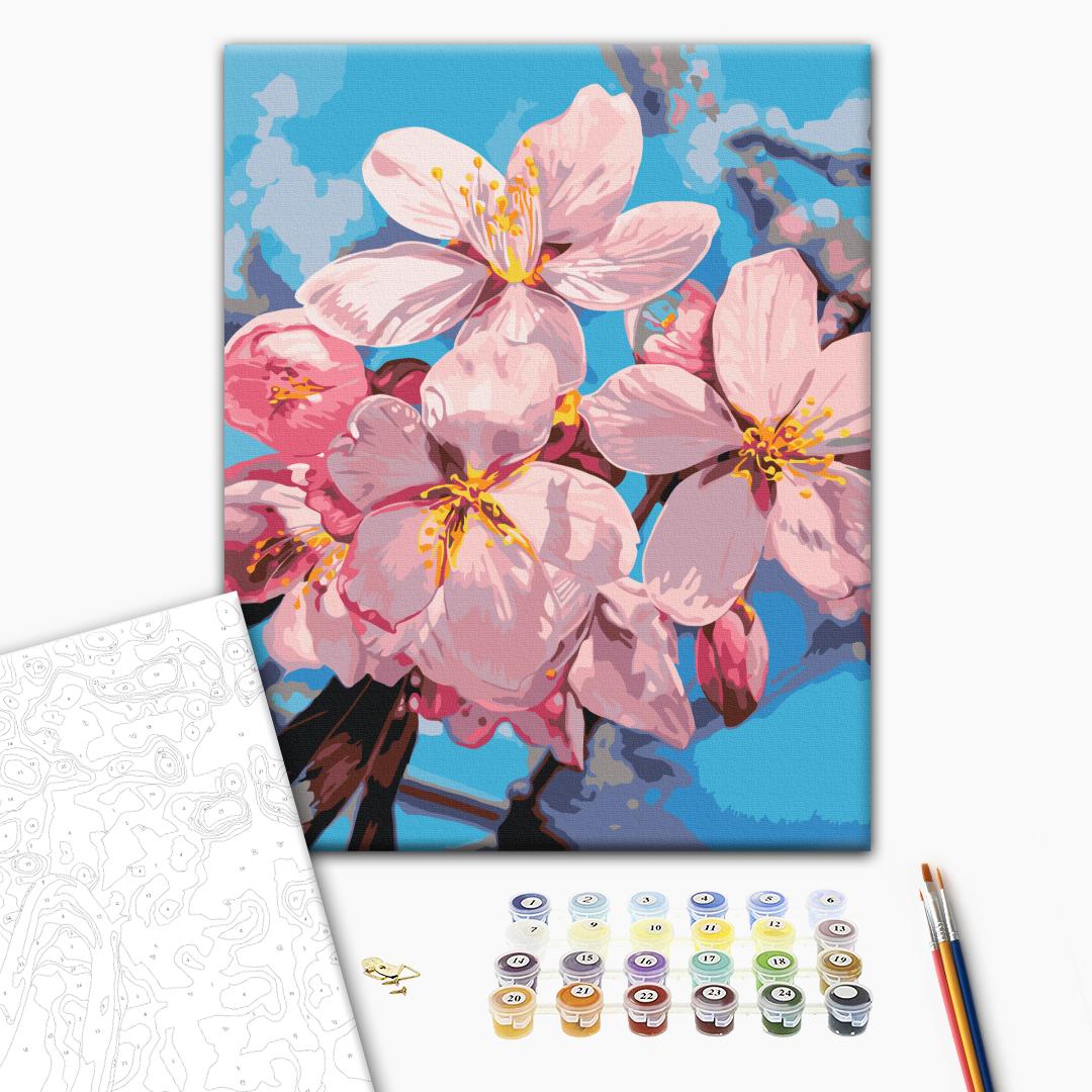 Paint by numbers