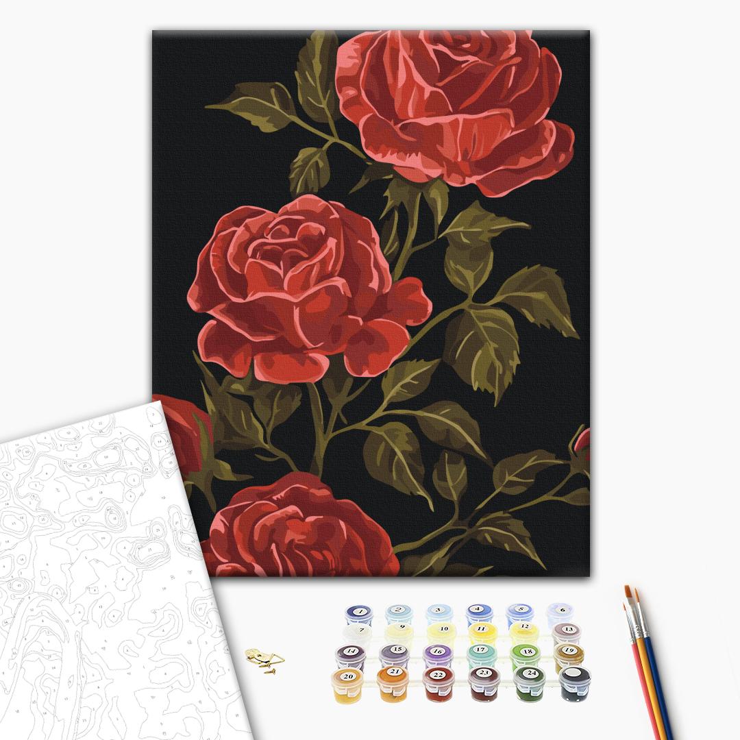 Paint by numbers