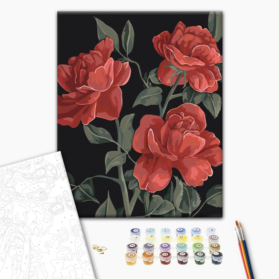 Paint by numbers
