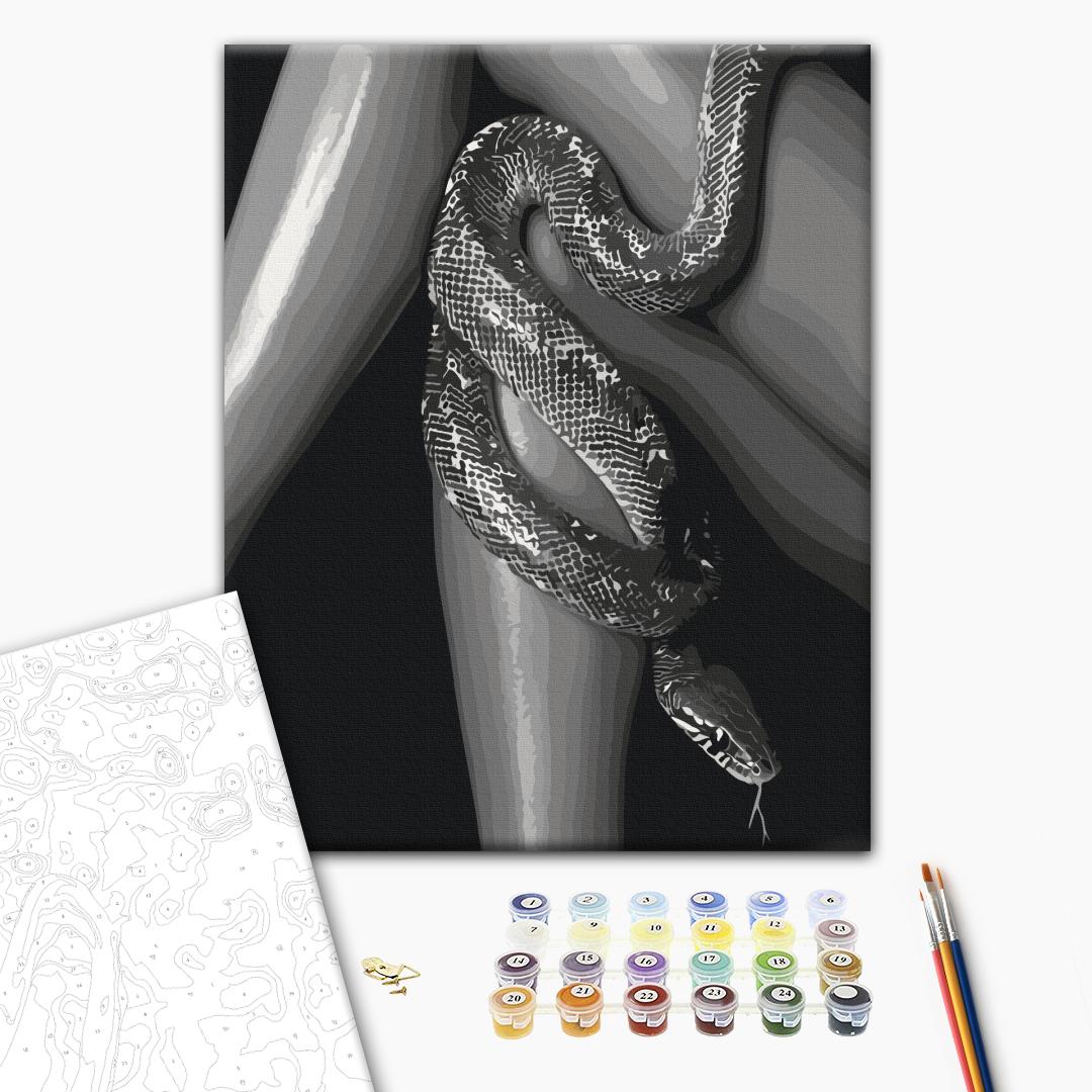 Paint by numbers