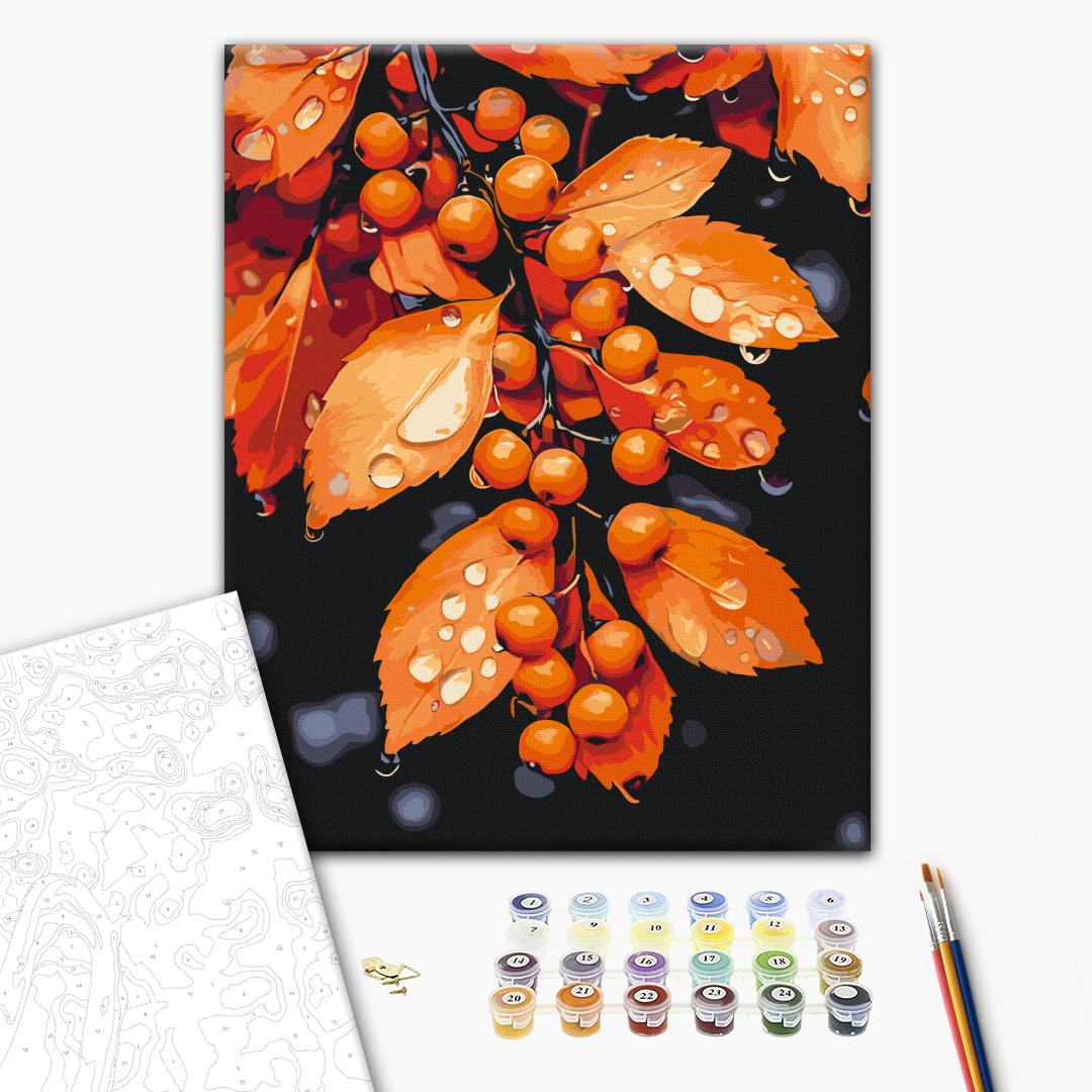 Paint by numbers