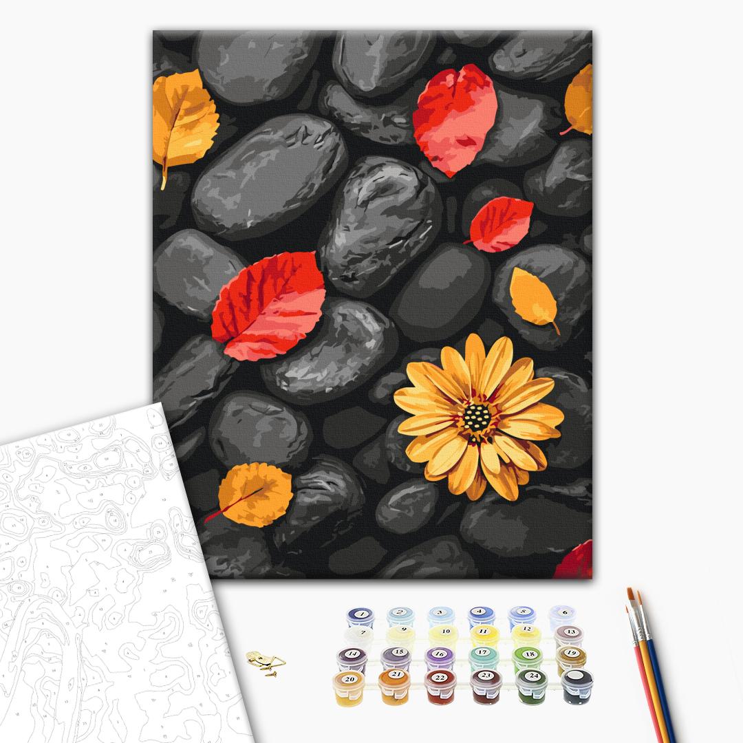 Paint by numbers