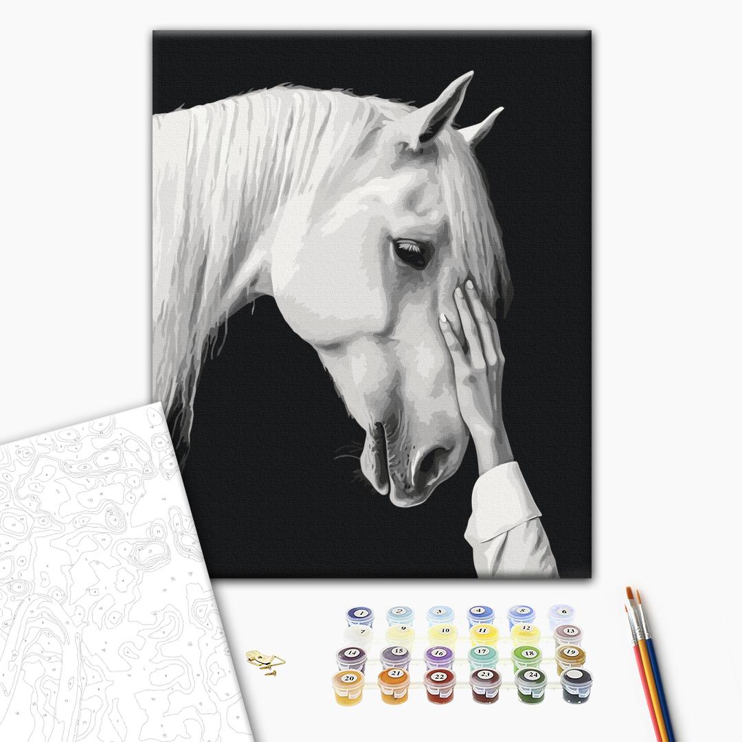 Paint by numbers