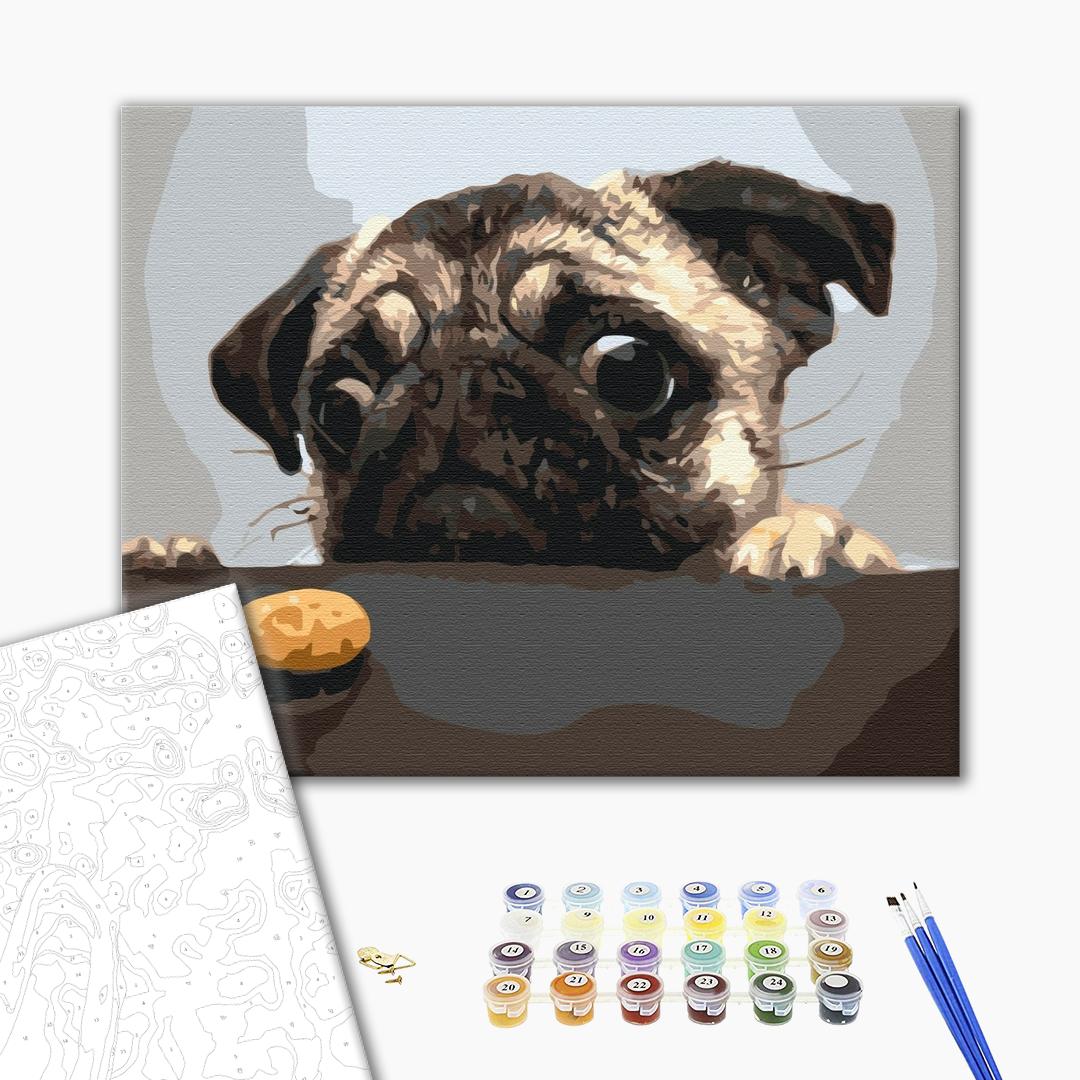 Paint by numbers