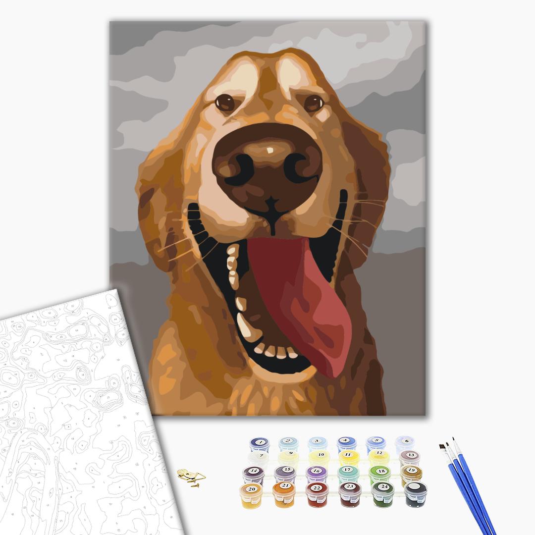 Paint by numbers