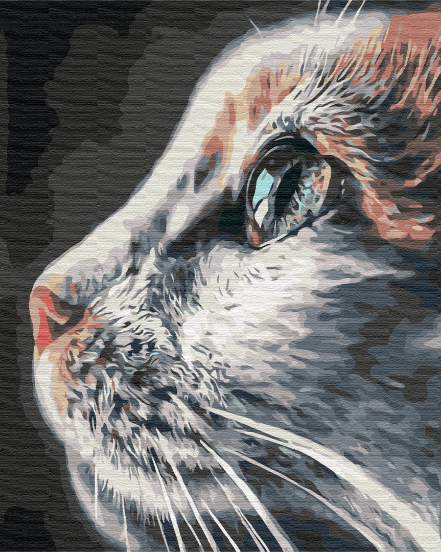 Paint by numbers kissa profiilikuva