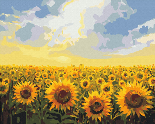 Maalaa numeroin Paint by numbers Sunflower field