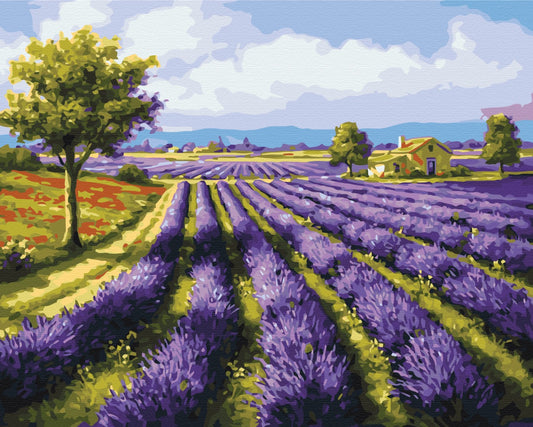Maalaa numeroin Paint by numbers Lavender fields