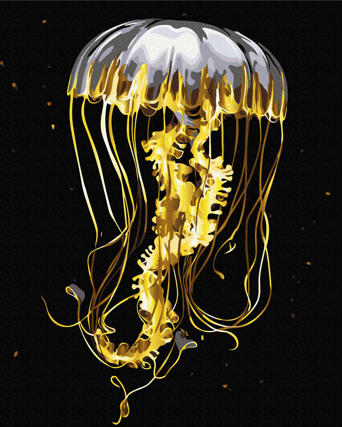 Maalaa numeroin Paint by numbers Jellyfish