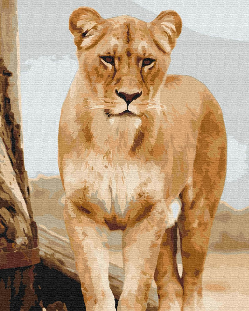 Maalaa numeroin Paint by numbers Young lioness