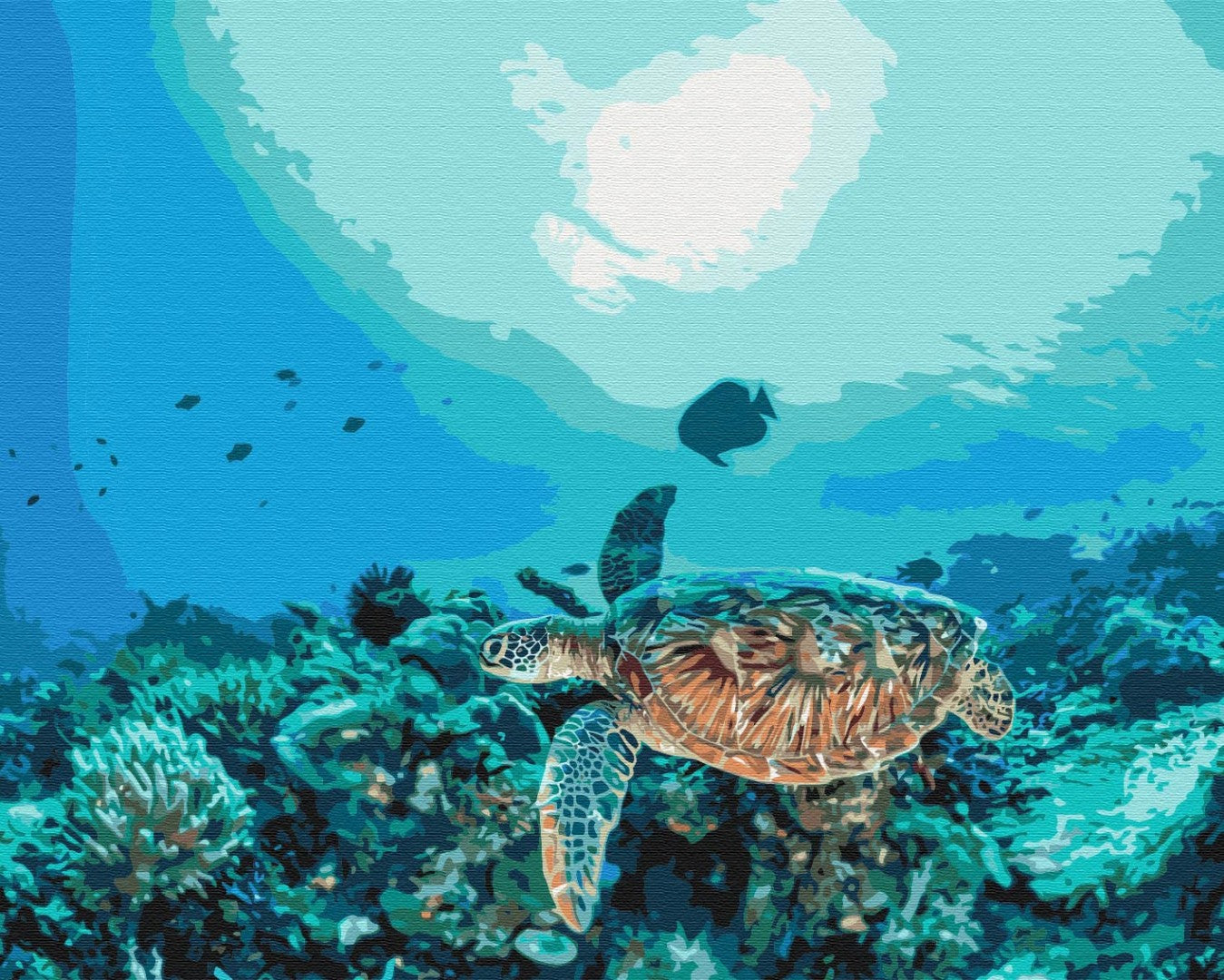 Maalaa numeroin Paint by numbers Turtle in a coral reef