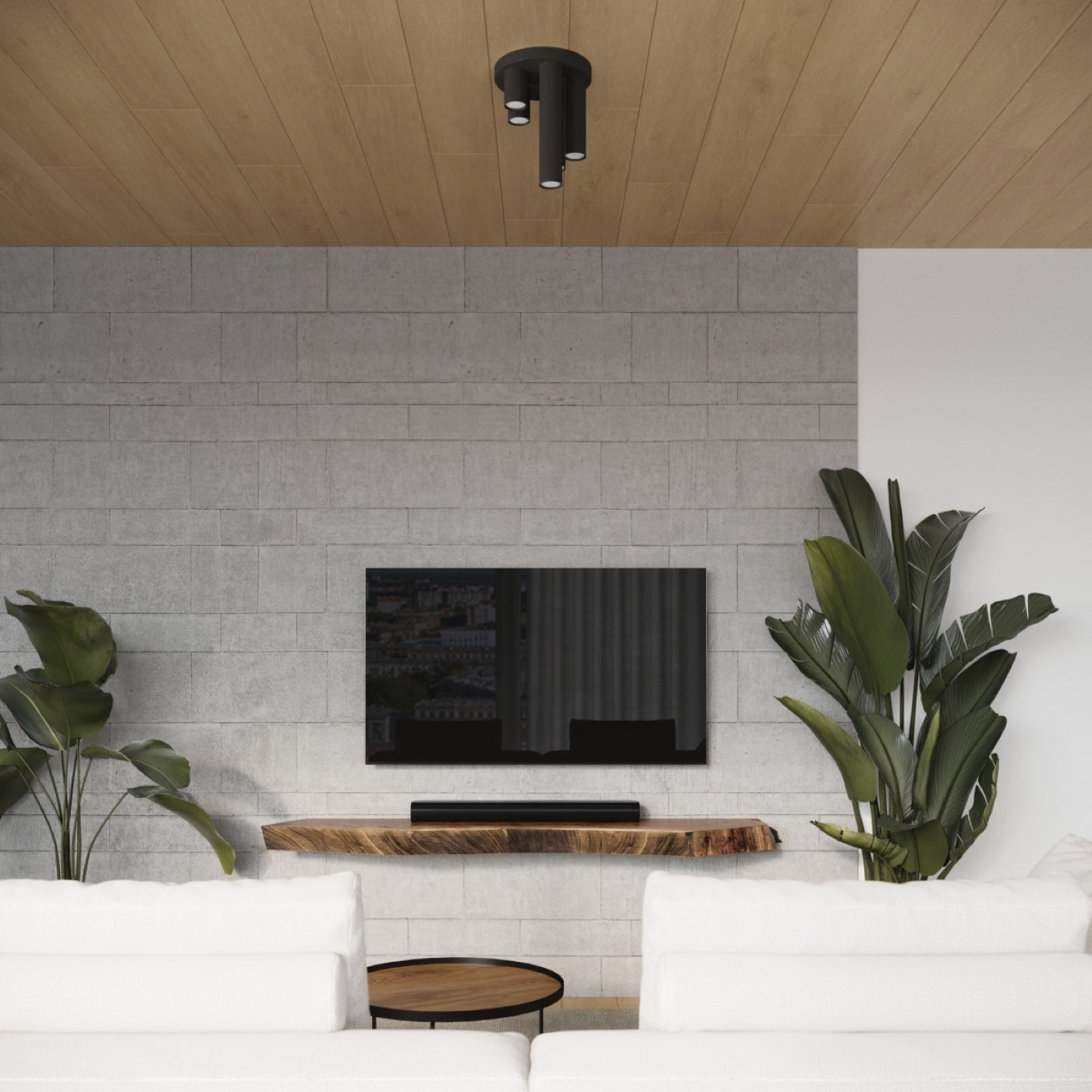 646c2bc8763d5056477081c12aa1551c