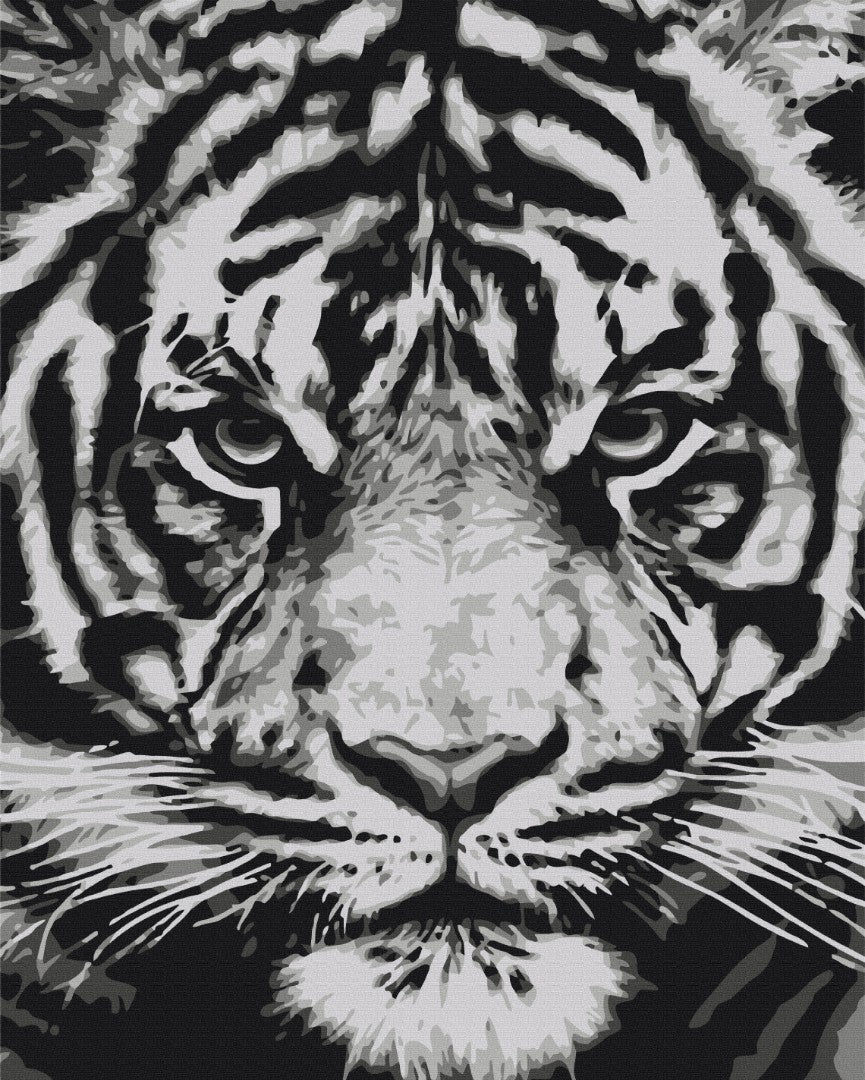 Maalaa numeroin Paint by numbers The look of the beast