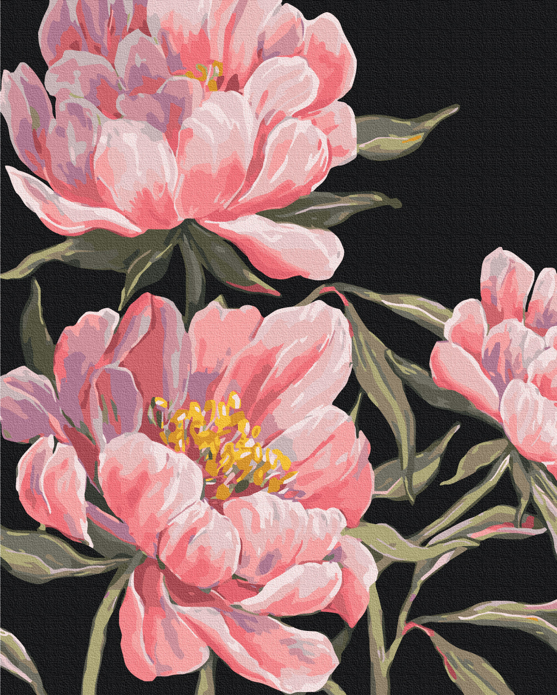 Maalaa numeroin Paint by numbers The language of peonies © LUNATART