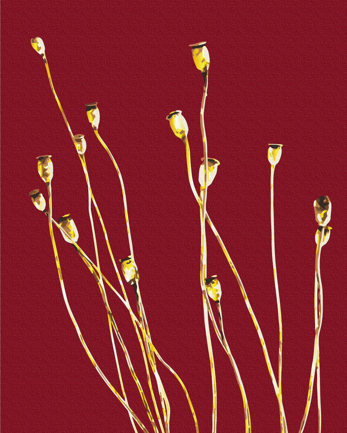 Maalaa numeroin Paint by numbers Golden field poppies © Halyna Vitiuk