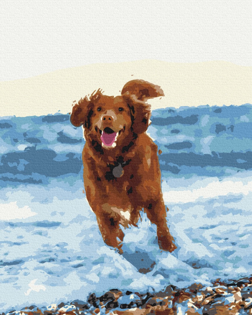 Maalaa numeroin Paint by numbers Dog in the sea