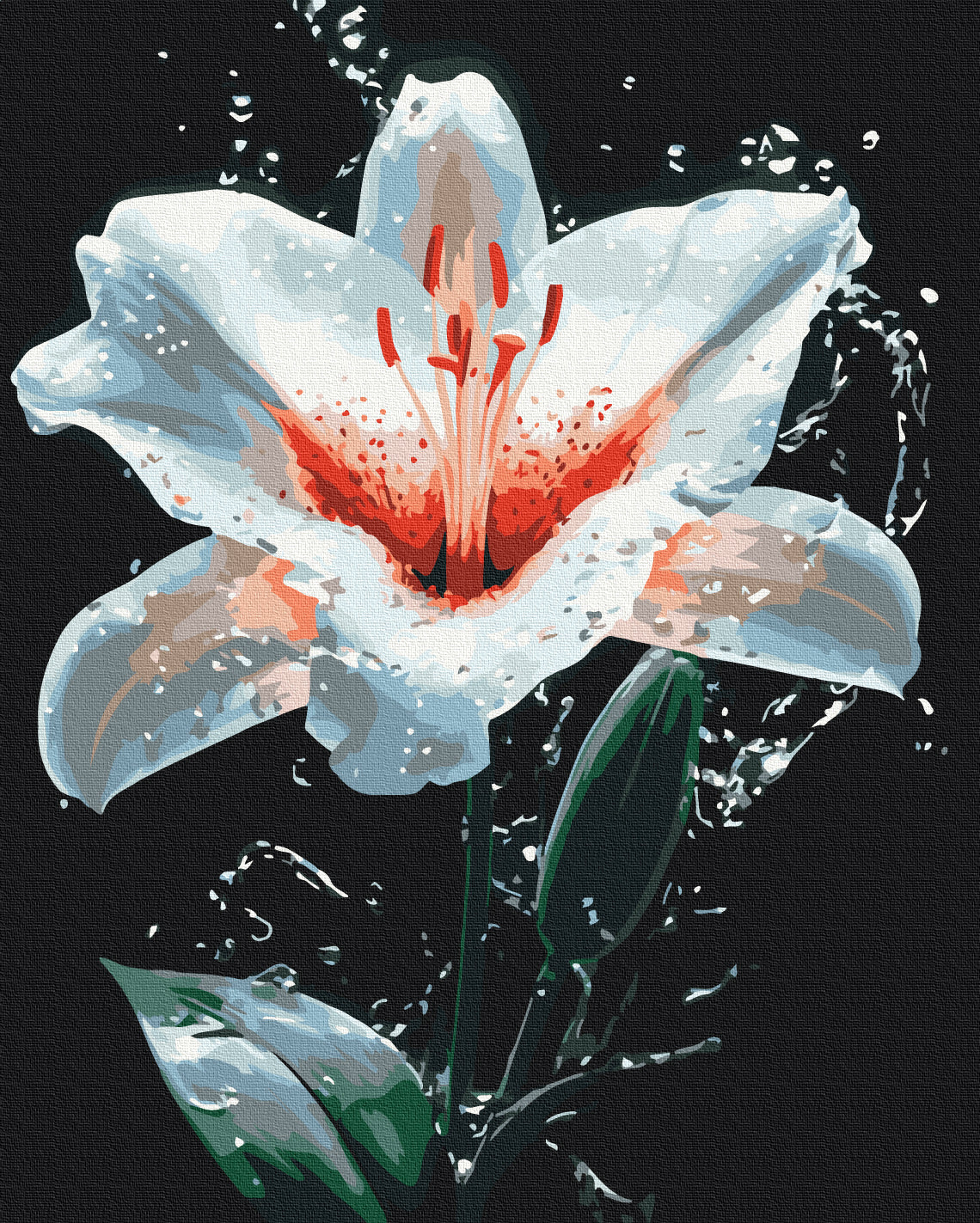 Maalaa numeroin Paint by numbers The radiance of the lily