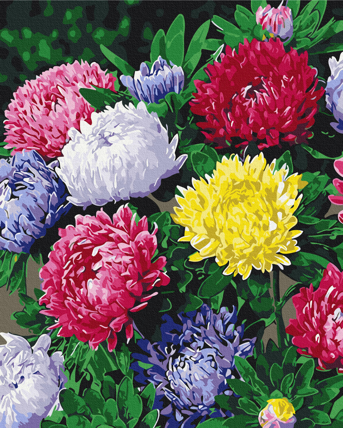 Maalaa numeroin Paint by numbers Colorful asters