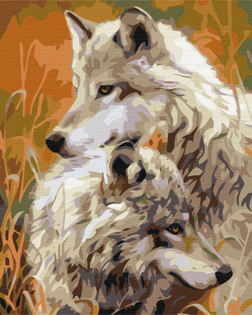 Maalaa numeroin Paint by numbers A pair of steppe wolves
