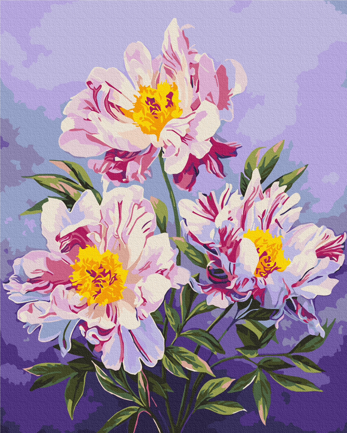 Maalaa numeroin Paint by numbers The kingdom of peonies © Anna Steshenko
