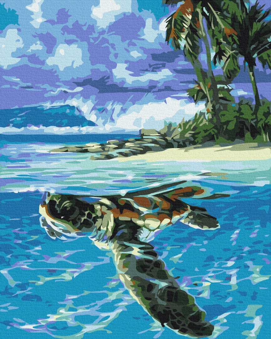 Maalaa numeroin Paint by numbers Tropical turtle