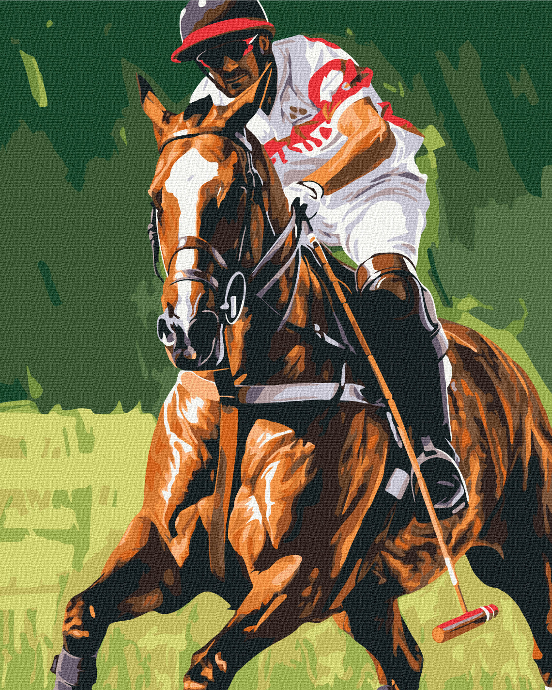 Maalaa numeroin Paint by numbers Polo player
