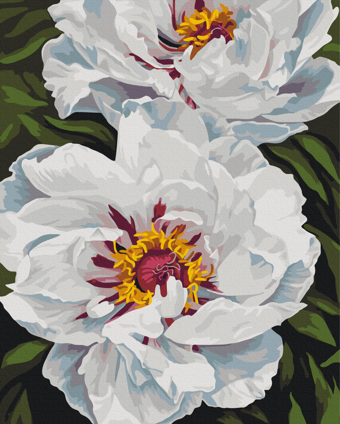 Maalaa numeroin Paint by numbers White glow © Anastasia Alyokhina
