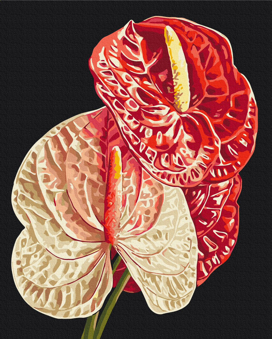 Maalaa numeroin Paint by numbers Anthurium © Anastasiia Osmolovska