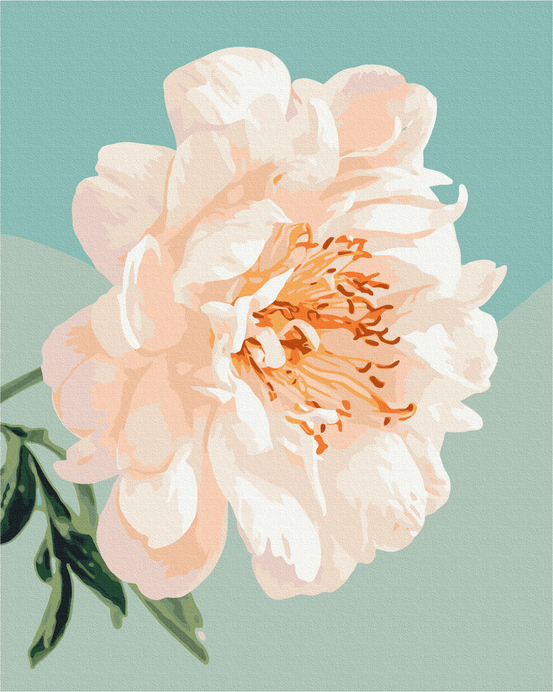 Maalaa numeroin Paint by numbers Grace of peonies © Halyna Vitiuk