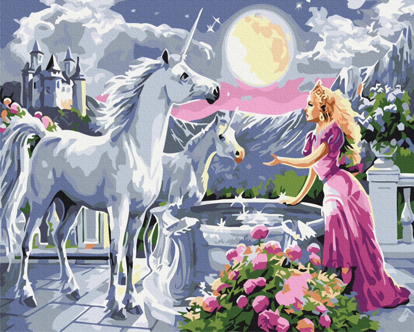Maalaa numeroin Paint by numbers Princess and the unicorns