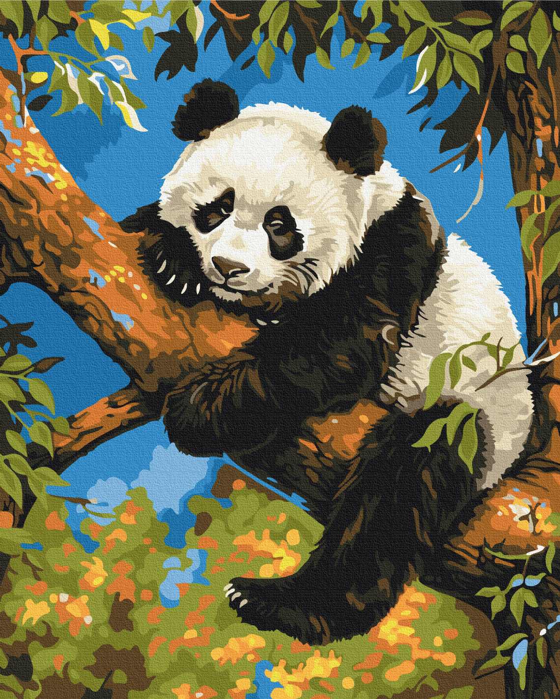 Maalaa numeroin Paint by numbers Lazy panda