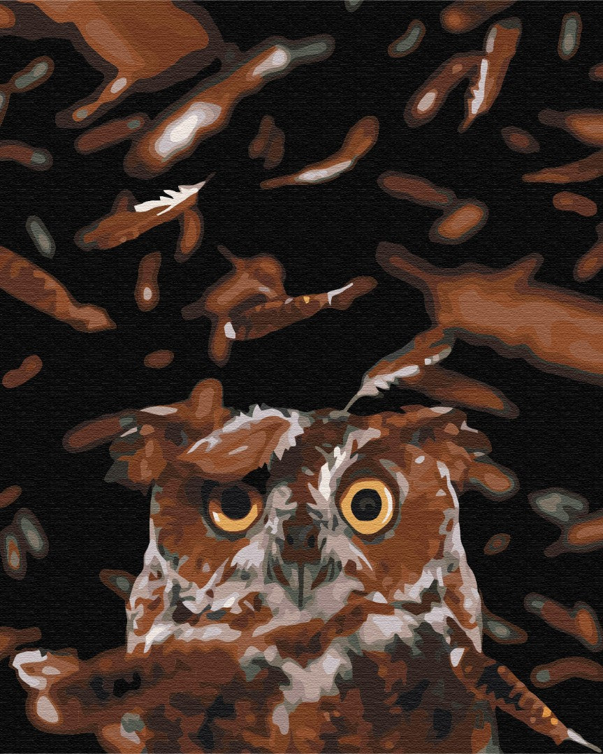 Maalaa numeroin Paint by numbers Clever owl