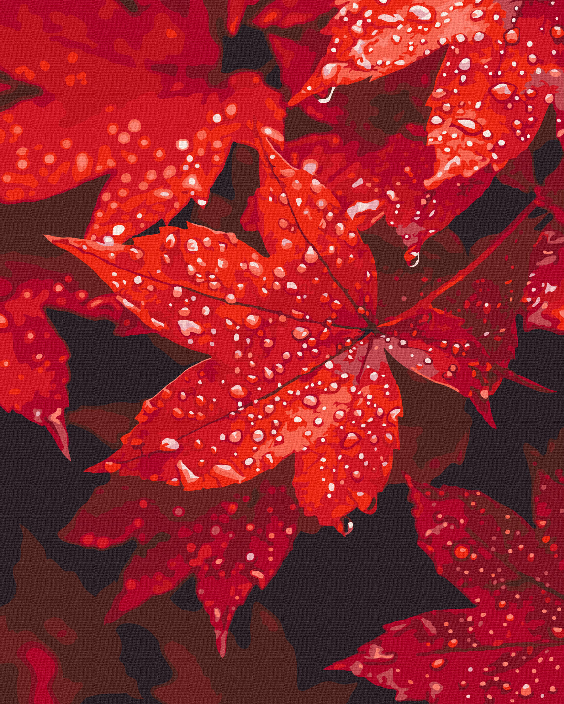 Maalaa numeroin Paint by numbers Autumn heart in drops