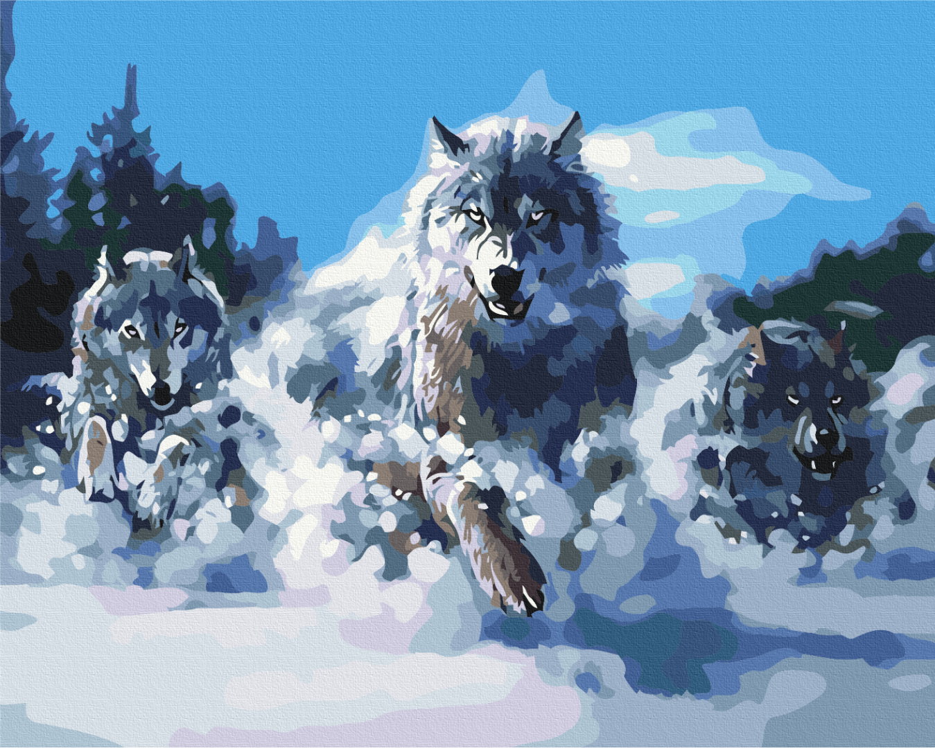 Maalaa numeroin Paint by numbers Wolves in motion
