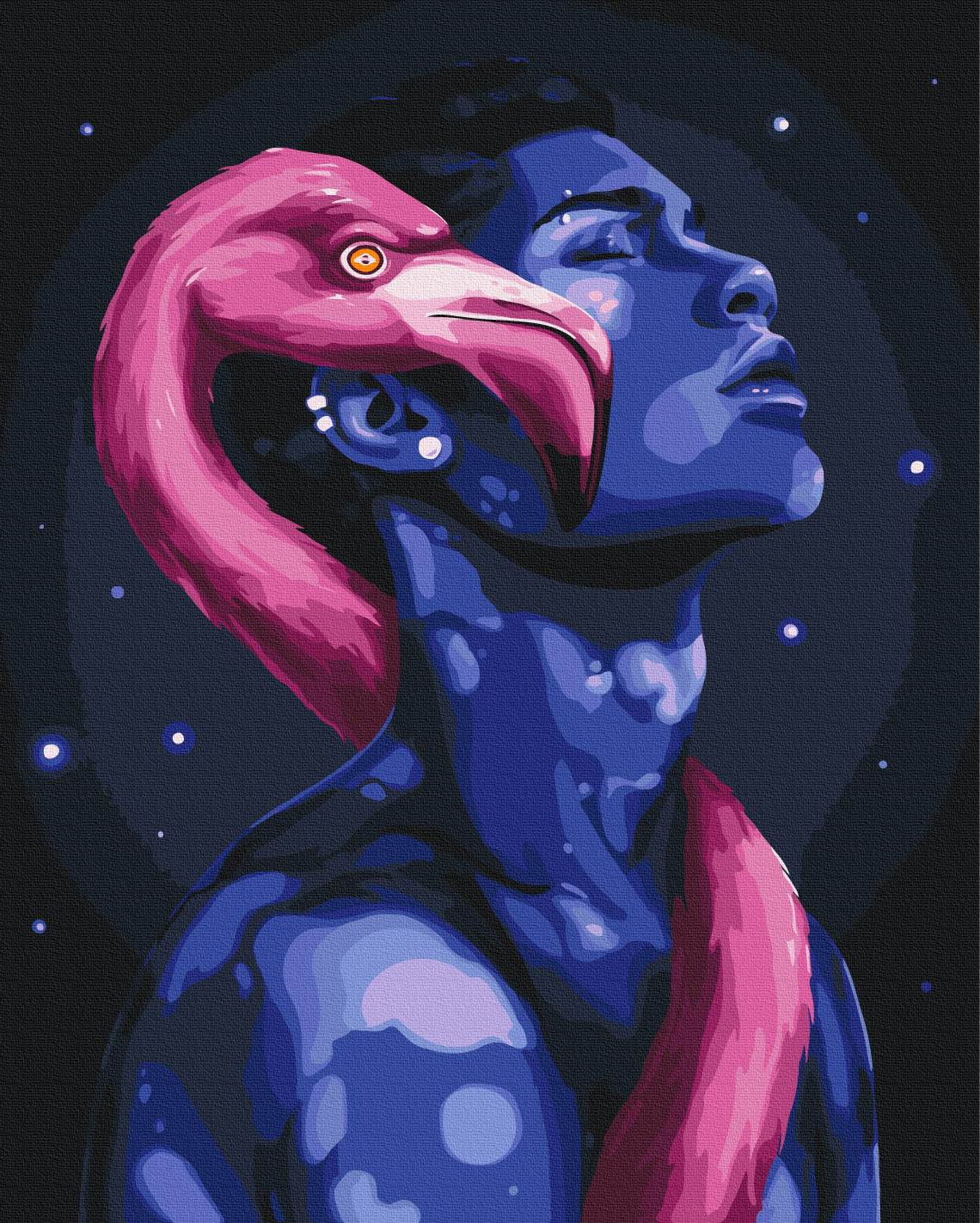 Maalaa numeroin Paint by numbers Flamingo © Solomiya Kovalchuk