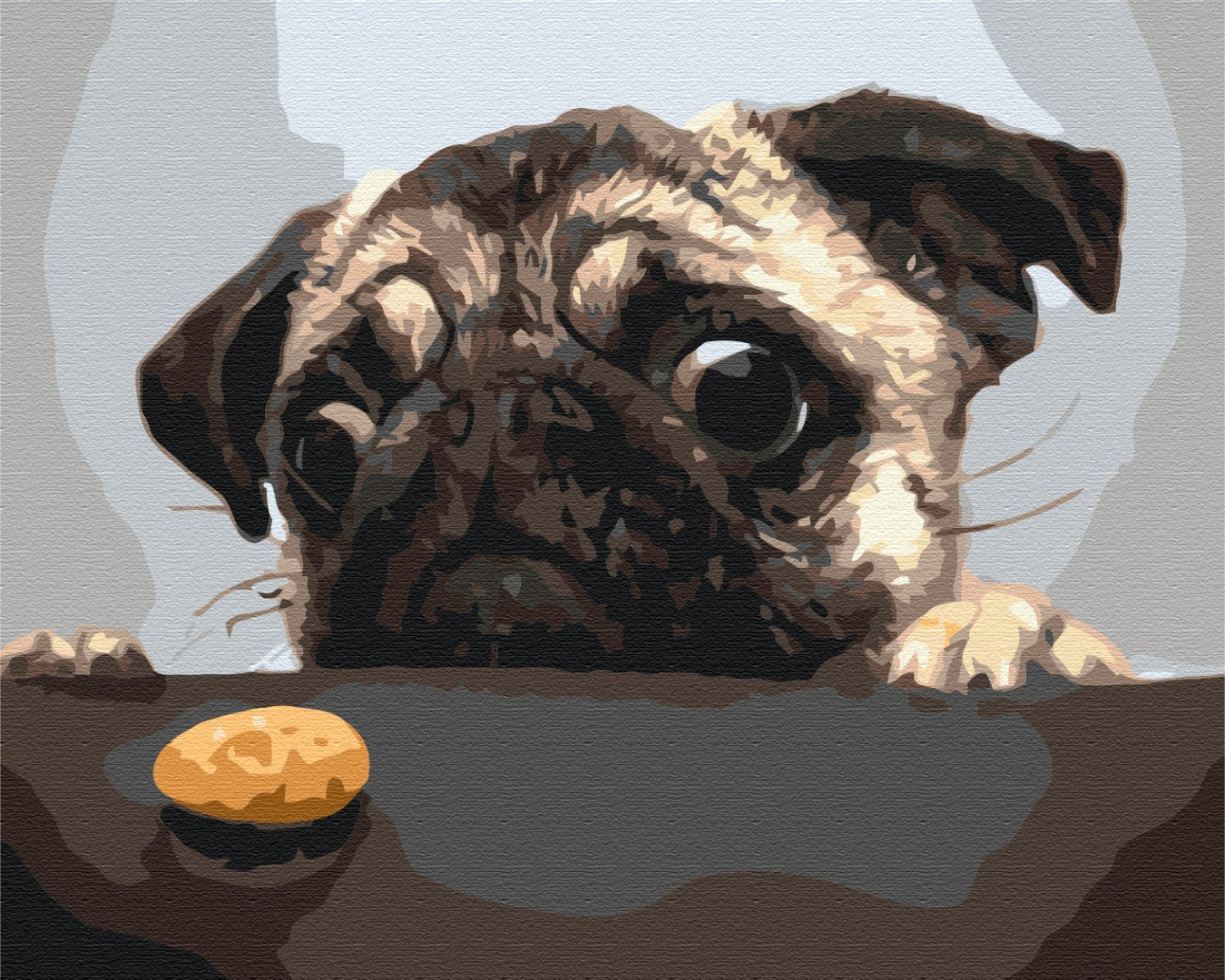 Maalaa numeroin Paint by numbers Mops