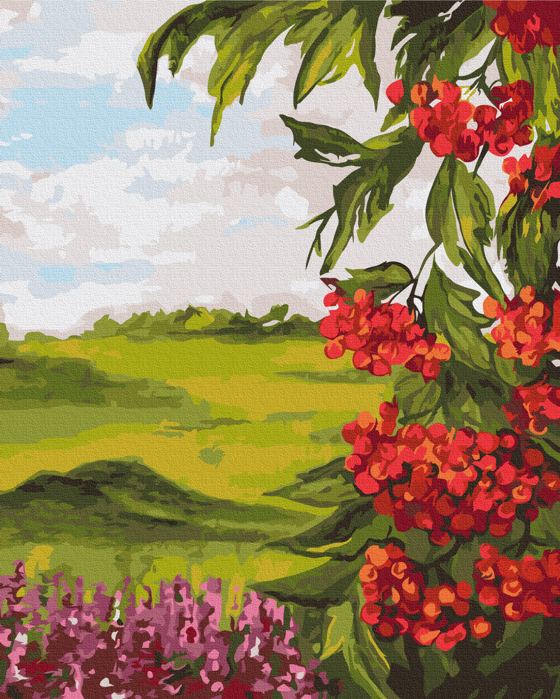 Maalaa numeroin Paint by numbers Field viburnum © Bona