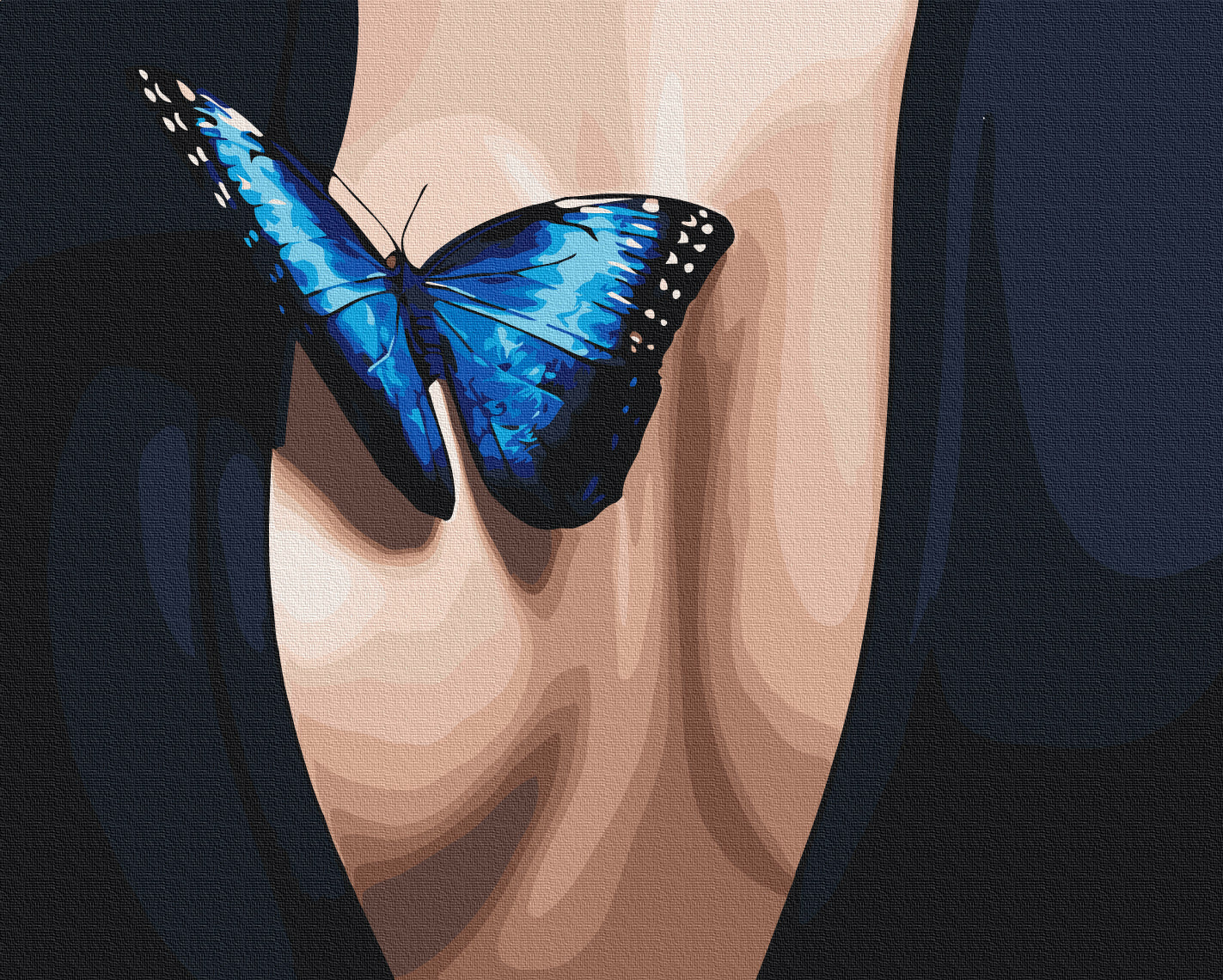 Maalaa numeroin Paint by numbers Blue Flutter